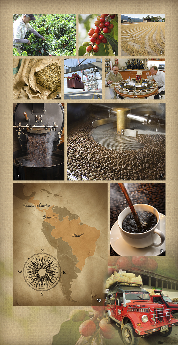 the journey of coffee